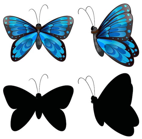 Mariposa Silueta En Dos Posiciones Vector Premium