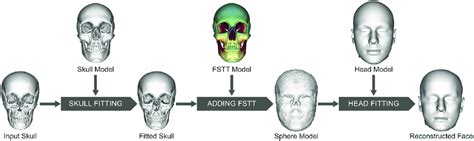 Processing Steps Of The Automatic Forensic Facial Reconstruction The