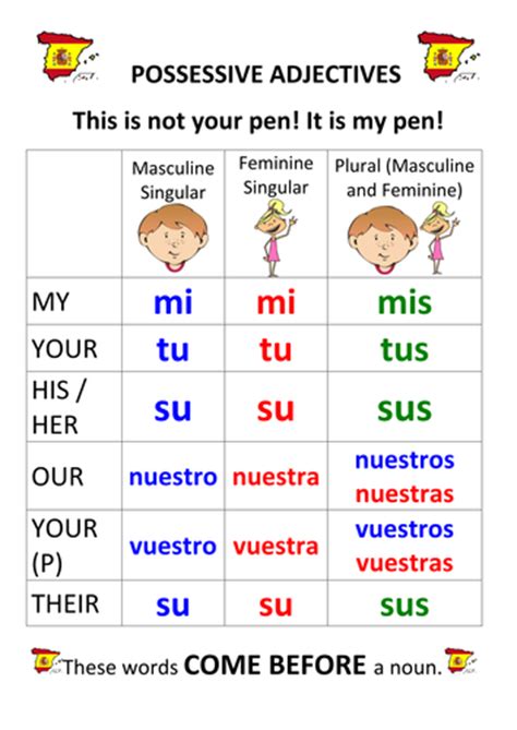 Spanish Possessive Adjectives Pronouns Teaching Resources