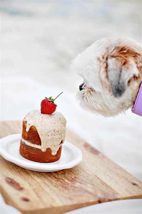 All of these ingredients are dog safe and i can guarantee you that they'll lick the bowl clean! The Best Dog Birthday Cake Recipe - Coco's Birthday Weekend | Pretty Fluffy