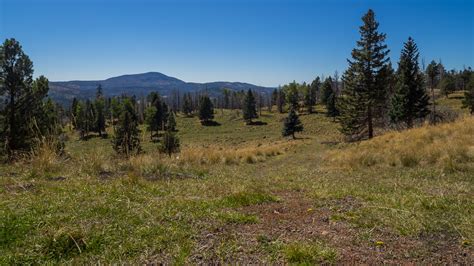 Meanderthals Trail 12 At Valles Caldera National Preserve New Mexico