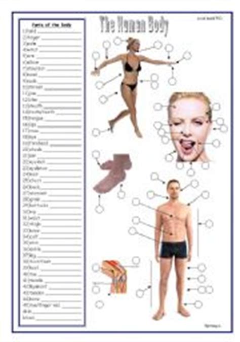 No thanks god,i haven't broken any of my body parts so far. Body Vocabulary - ESL worksheet by douglas