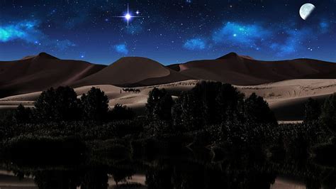 Real Desert Oasis At Night