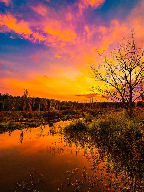 Colorful Morning Photograph By Frank Rosario Fine Art America