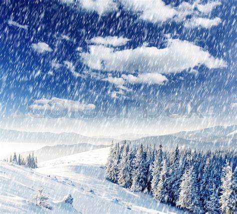 Beautiful Winter Landscape With Snow Stock Photo