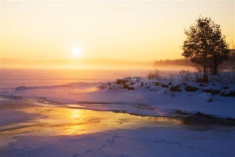 Misty Winter Sunrise Over A Frozen Lake Stock Image Image Of Nature