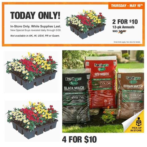 Annual flowers 2 25 a 6 pack at home depot this week. Home Depot Flowers On Sale | 12 Pack of Annuals $5 + Mulch ...