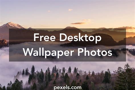 Desktop Wallpaper · Pexels · Free Stock Photos