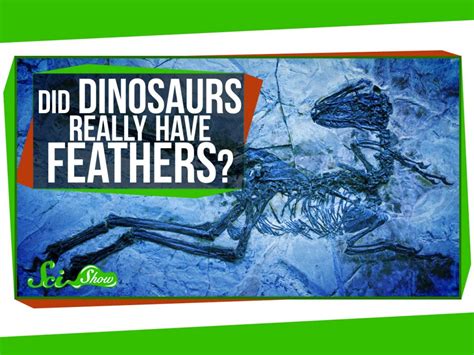 Did Dinosaurs Really Have Feathers Era Observer