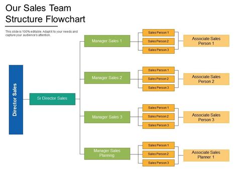 Our Sales Team Structure Flowchart Powerpoint Slide Presentation