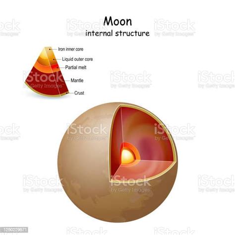 Moon Internal Structure And Interior Stock Illustration Download
