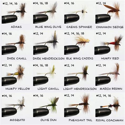 Fly Fishing Flies Chart