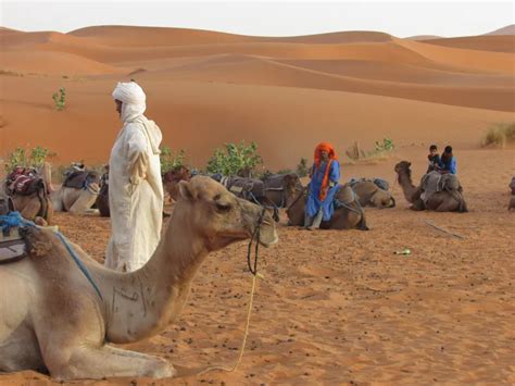 the desert bedouins smithsonian photo contest smithsonian magazine