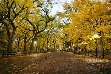 New York Autumn Central Park Poets Walk Dusk Flickr