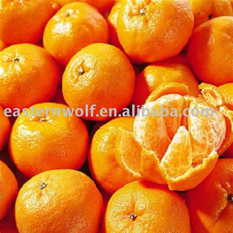 Fresh Chinese Mandarin Orangechina Easternwolf Price Supplier 21food