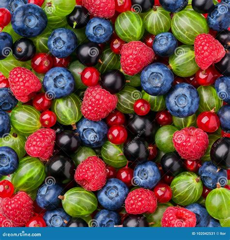 Close Up Of Fresh Berriestop View Stock Image Image Of Fruit Fresh