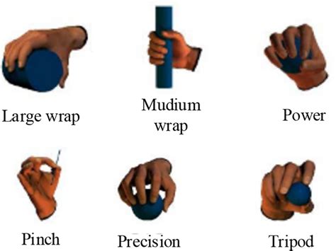 Six Commonly Used Grasp Types 11 That Are Selected For The