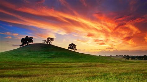 Usa California Spring Sunset Grass Hill Trees Red Sky High Definition
