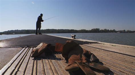 Man Eating Catfish Monster Legend Deep In Ohio River