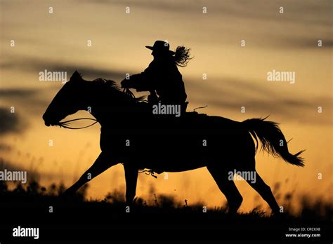 Cowboy Riding Into Sunset Stock Photos And Cowboy Riding Into Sunset