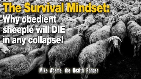 The Survival Mindset Why Obedient Sheeple Will Die In Any Collapse