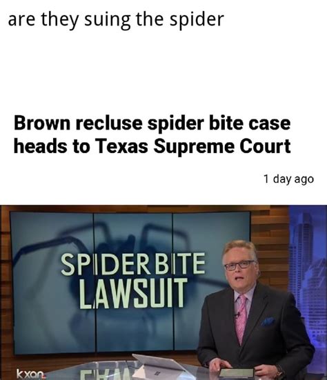 Are They Suing The Spider Brown Recluse Spider Bite Case Heads To Texas