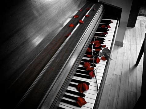 Hq Wallpapers Plus Provides Different Size Of Abstract Piano Hd Images