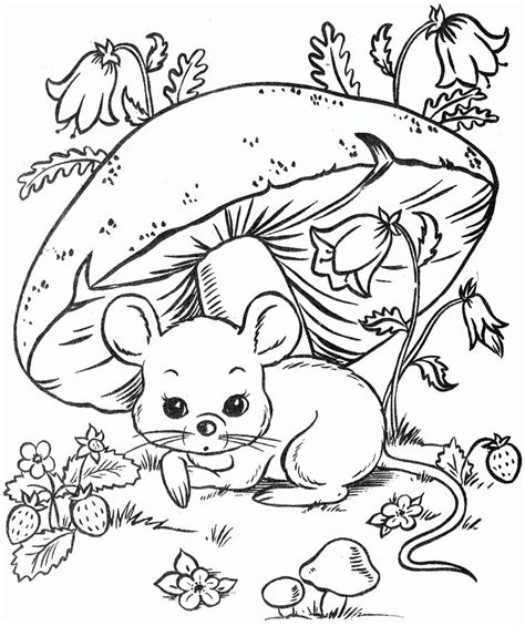 1000 Images About Coloring Pages On Pinterest Coloring Pages Animal