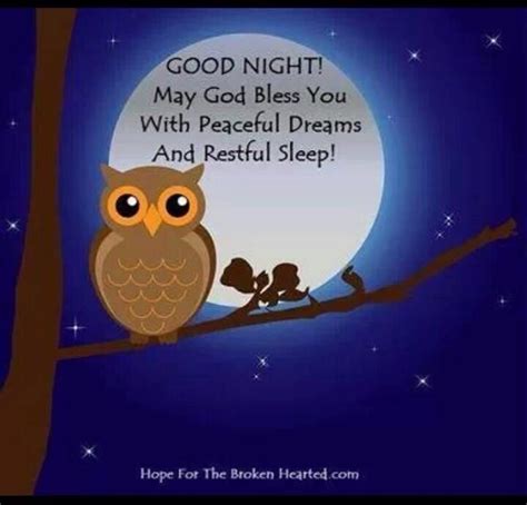 Goodnight Owl Good Night Sweet Dreams Owl Cartoon Owl Facts