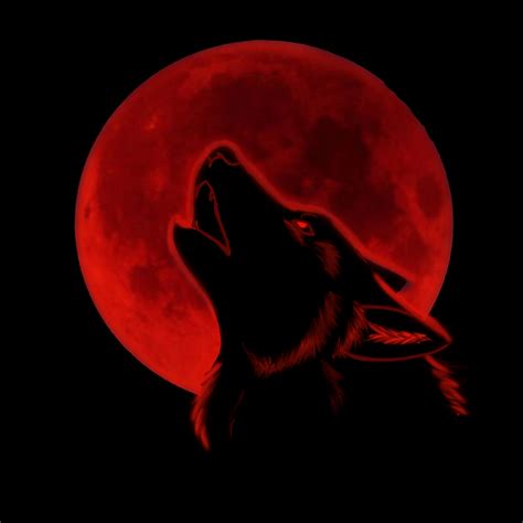 Unduh 50 Wallpaper Red Wolf Gambar Download Postsid