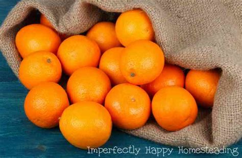 6 Tips How To Use Orange Peels For A Better Garden