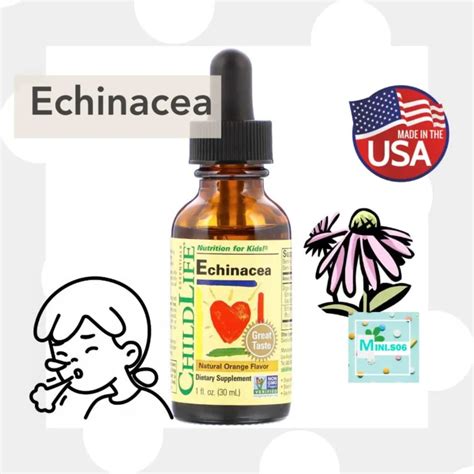 V Kids เอ็กไคนาเซีย Childlife Essentials Echinacea Natural Orange