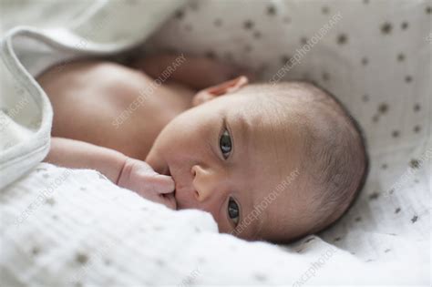 Close Up Cute Newborn Baby Boy In Bassinet Stock Image F0287802