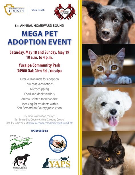 Thank you for considering colorado animal rescue shelter for your next animal companion! Mega Pet Adoption Event- Yucaipa Department of Public Health