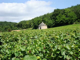 Savigny L S Beaune Er Cru Les Serpenti Res Patrick Javillier