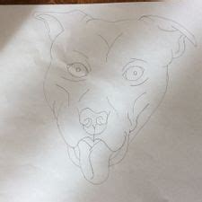 How To Draw A Pitbull With Pictures Wikihow