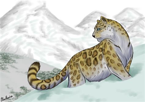 Snow Leopard By Elenpanter On Deviantart