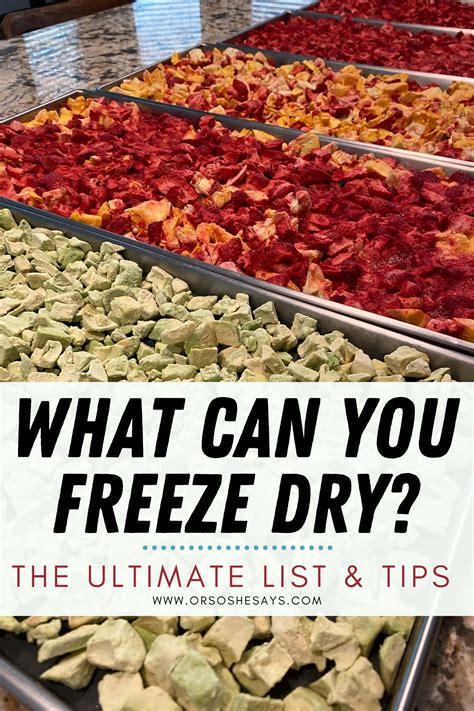 Long Term Freeze Dried Food Shelf Life