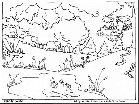 God Made The Animals Coloring Page At