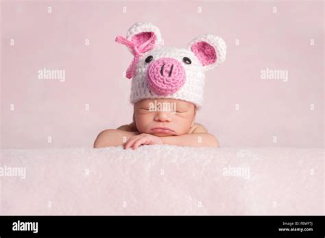 Pig Costume Hi Res Stock Photography And Images Alamy