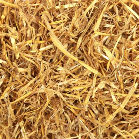 Natures Own Golden Barley Straw Xl