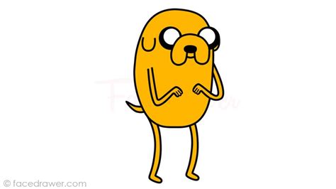 Jake Adventure Time Learn How To Draw Step By Step 11 Easy Steps