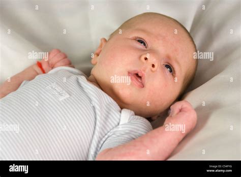 One And A Half Month Old Baby Girl Stock Photo Alamy