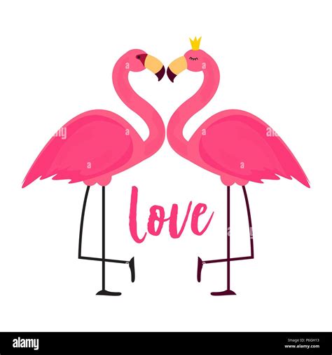 Flamingo Bird Heart High Resolution Stock Photography And Images Alamy