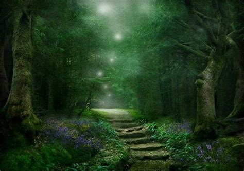 Magical Path Forest Fairy Scenery Enchanted Forest