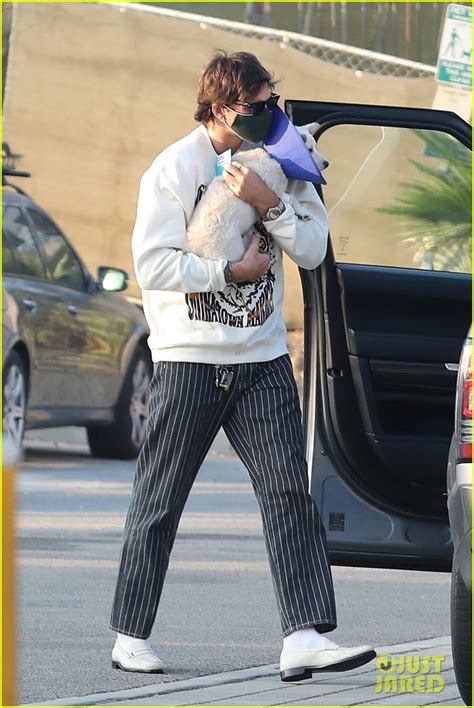 After more than half a year of elordi was not seen during the remote red carpet portion, nor was elordi's new rumored girlfriend. Jacob Elordi Picks Up Kaia Gerber's Pup From The Vet | Photo 1301354 - Photo Gallery | Just ...
