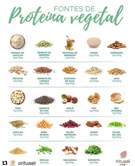 Alimentos Que Contem Niquel