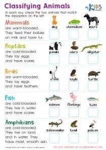 classifying animals worksheet  printable   kids animal
