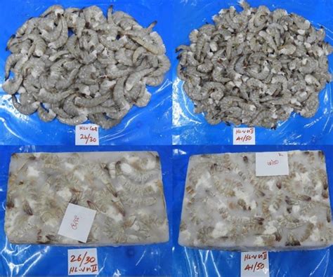 Headless Vannamei Shrimp G At Best Price In Chennai K V Marine Exports