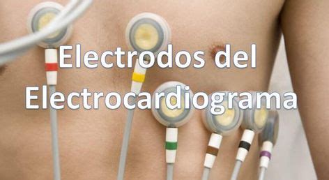 Ideas De Electrodo Electrodo Electrocardiograma Terminolog A M Dica